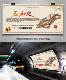 中药五加皮灯箱海报展板挂画单页