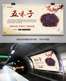 五味子宣传海报灯箱展板展架挂画