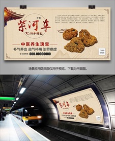 中药材紫河车海报灯箱展板挂画