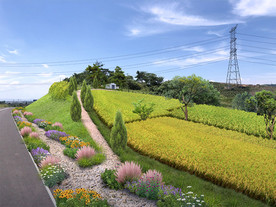 乡村道路改造效果图