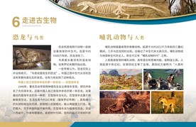 展板 博物馆展板 古生物 恐龙