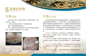 走进古生物 学校展板 生物登陆