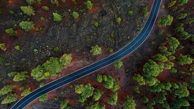 穿过树林的一条路