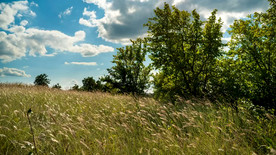 山上移动的云的景观