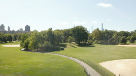 公园与天际线景观的美丽花园