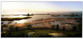 湿地公园 黄昏效果图