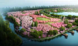 生态农庄种植园景观规划效果图