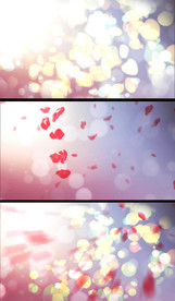 光圈变换动态背景视频素材