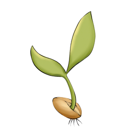 发芽装饰元素