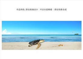 海边户外画面