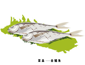 餐饮店菜品白鲳鱼手绘插画