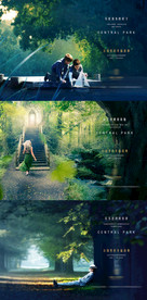 地产中央公园生态洋房景观价值点