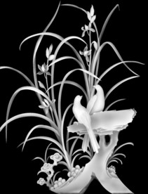兰花灰度图