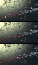 生物医疗血管动态视频模板