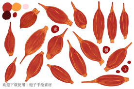 栀子手绘素材