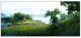 生态茶田景观效果图