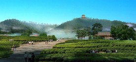 生态茶园梯田景观效果图