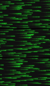 数据模拟信号动态视频素材