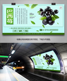 巴西莓采摘海报灯箱展板展架挂画