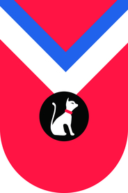 节日水旗吊旗样机