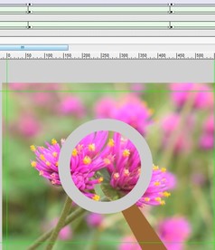 放大镜放大花朵7秒作业动画