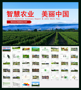 农业商业计划书PPT