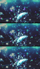 梦幻海底世界光斑背景视频