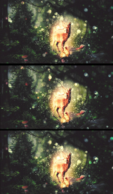 梦幻深林动态背景视频