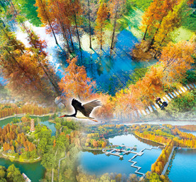 湿地环保展板青山绿水背景图