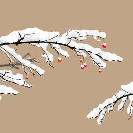 国潮节气树枝元素