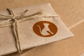 品牌logo牛皮纸样机