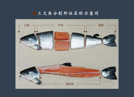 三文鱼分割部位名称图