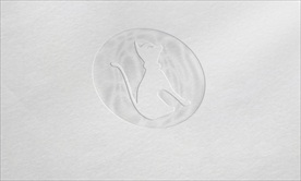 品牌logo纸质样机