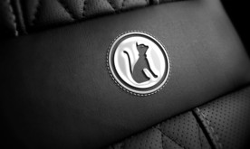 品牌logo皮革样机