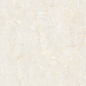 别墅豪华大气纹理 TIF合层