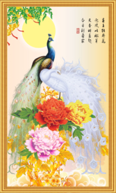 花开富贵