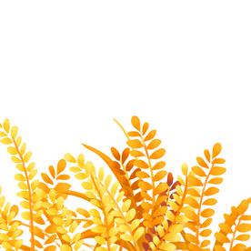 金色卡通麦子元素