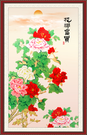 牡丹花