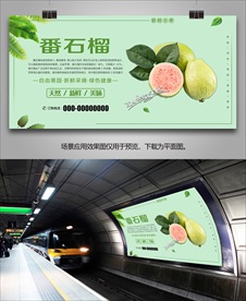 番石榴灯箱海报挂画展架展板单页