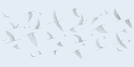 高清手绘简约飞鸟
