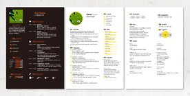 一套黑白设计师简历模板