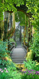 树林景观路客厅过道3D玄关