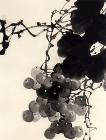 国画葡萄