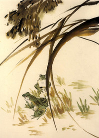 国画青蛙