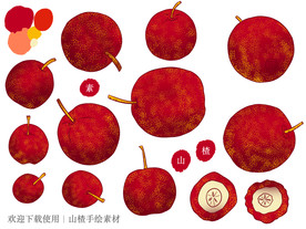 山楂手绘素材