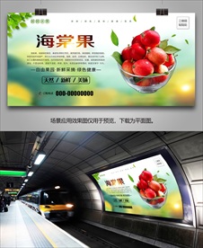 海棠果海报展架挂画单页易拉宝