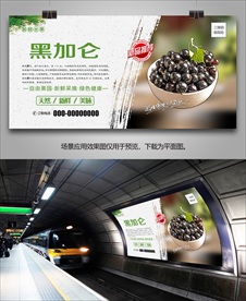 黑加仑展架单页海报易拉宝灯箱