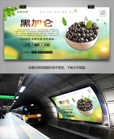 黑加仑灯箱易拉宝单页展板挂画