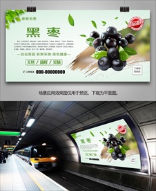 黑枣灯箱挂画单页展架易拉宝海报