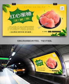 红心蜜柚挂画展架灯箱海报易拉宝